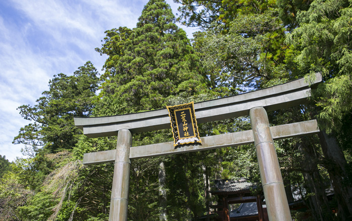 日光世界遺産ウエディング